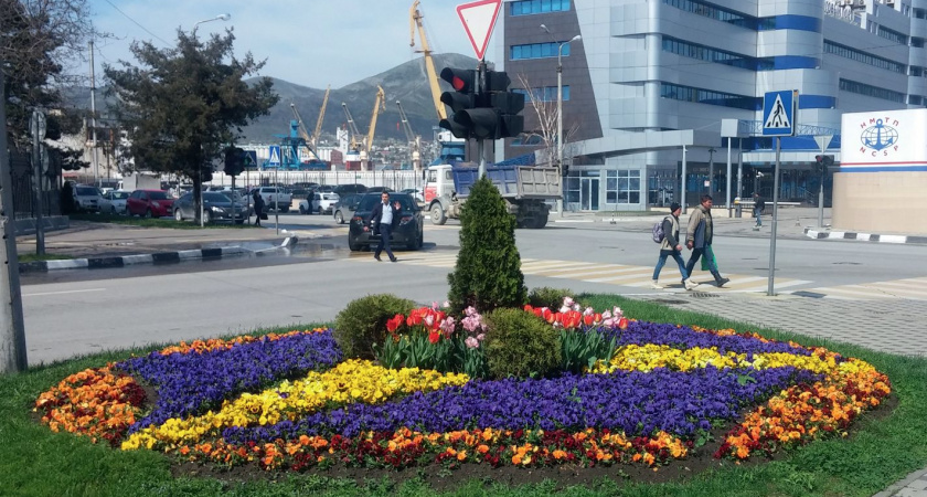 В Новороссийске высадили почти полмиллиона цветов и тысячи деревьев 