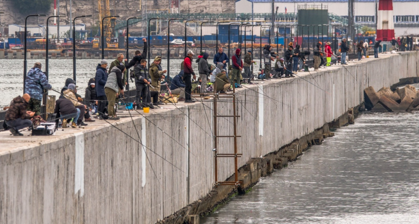 Своя атмосфера: толпы рыбаков ловят кефаль на набережной Новороссийска