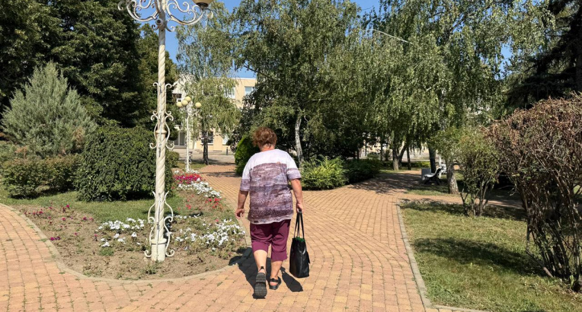 Принесите эту справку – и вам повысят пенсию: что важно сделать россиянам для повышения выплат