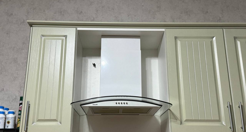 Почему умные и понимающие хозяева поголовно отказываются от классических вытяжек на кухне