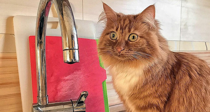 Делаем запасы! 21 октября весь Новороссийск останется без воды