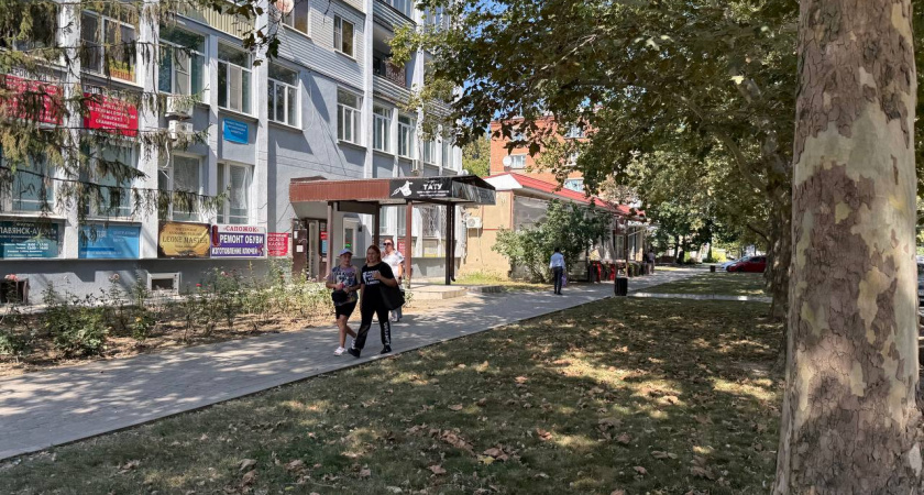 "Смысла нет постоянно себя утруждать": 5 мудрых рубаи Омара Хайяма, в которых кроется вся правда жизни