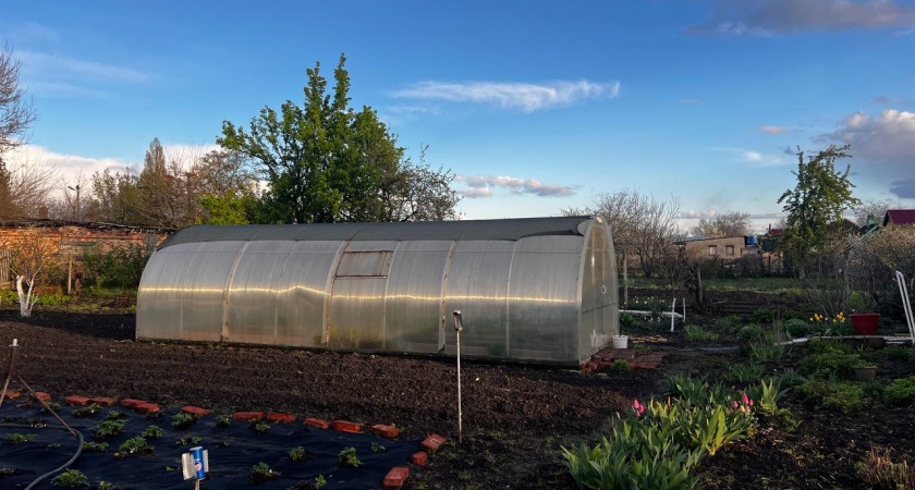 Попробовала обработать огород от вредителей осенью, а не летом – делюсь удивительным опытом