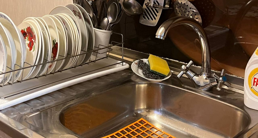 Надоели мошки на кухне? 5 проверенных способов, которые помогут раз и навсегда от них избавиться