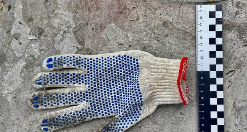 Ремонт обернулся разгромом: новороссийский мастер предстанет перед судом за погром в квартире 