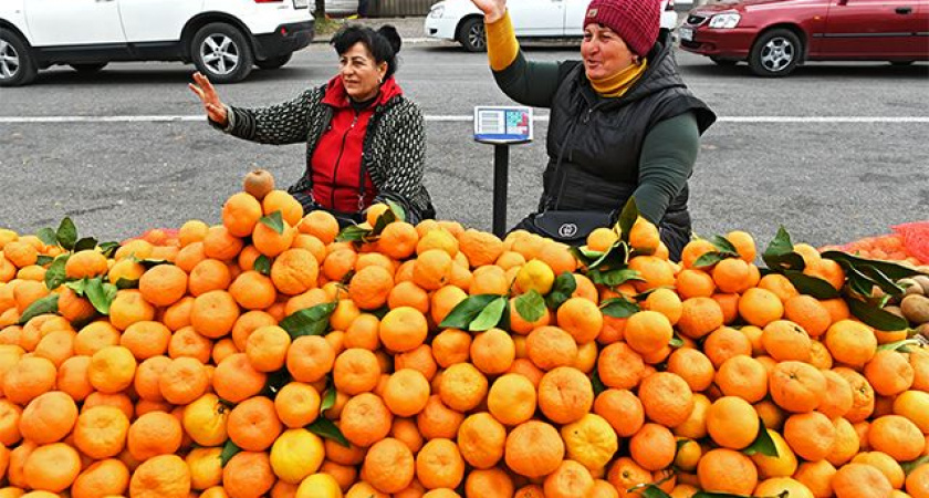Мандариновый рай! Из Абхазии в Сочи уже привезли более 153 тонн новогодних фруктов - сезон открыт