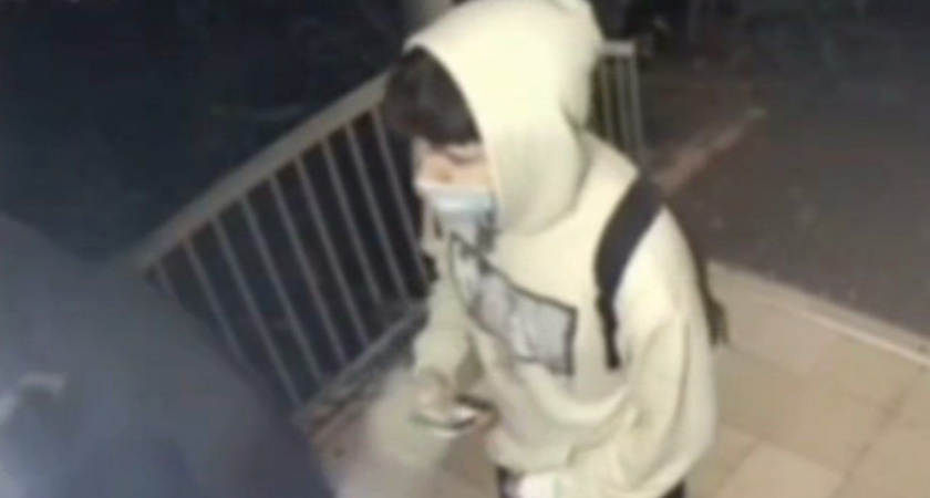 В Новороссийске поймали четверых наркотрафаретчиков из Красноярска