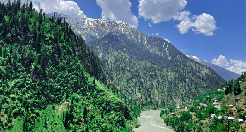 "Злые люди, змеи, грязь и жуткая еда": туристы делятся своим полным разочарованием от визита в Абхазию