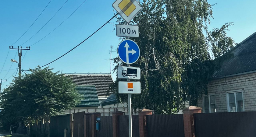 Идеальное ограждение для участка: профлист уходит в далекое прошлое — эстетичный и экологичный способ изолироваться от соседей