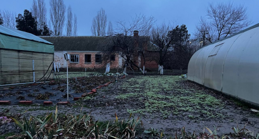 Без грамма навоза: 3 ложки "порошка" на землю - и весной почва гарантировано пышет плодородием. В октябре - обязательно