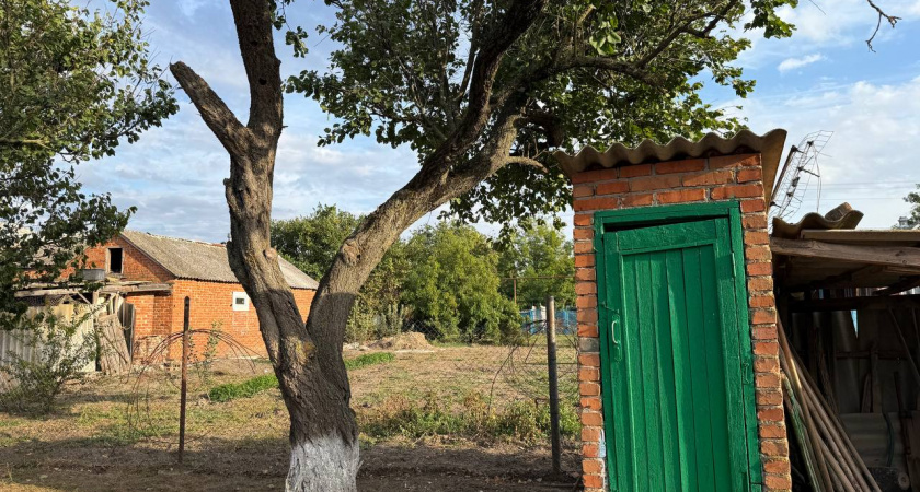 Что добавить в дачный туалет, чтобы отходы растворялись и не было запаха: проверенный годами способ