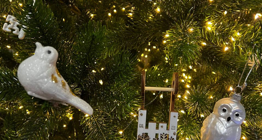 Перенос новогодних выходных 2025-2026: стало известно, как будем отдыхать — что обязательно нужно знать