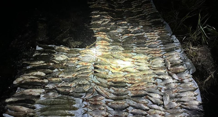 Браконьер из Каневского района заплатит почти 400 тысяч рублей за незаконный вылов рыбы 