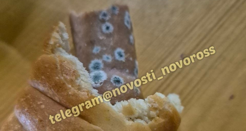 Булочка с сюрпризом: в Новороссийске дети отравились сосиской в тесте, покрытый плесенью – плюс одна фобия