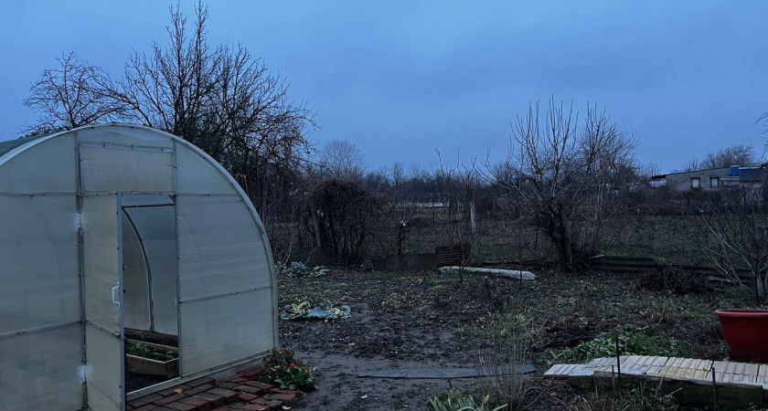 5 овощей, которые я всегда высаживаю под зиму уже 15 лет: весной собираю урожай на месяц раньше всех - соседки обзавидовались и мороки нет