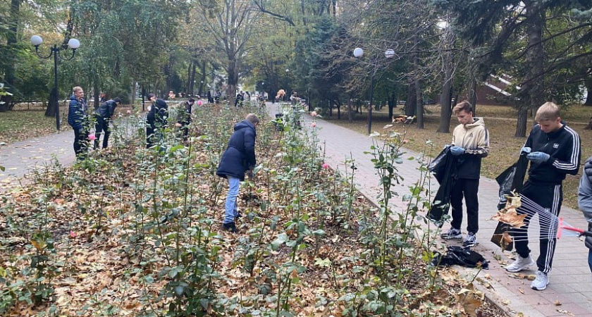 В Новороссийске студентов хотят обязать бесплатно подметать улицы и дворы 