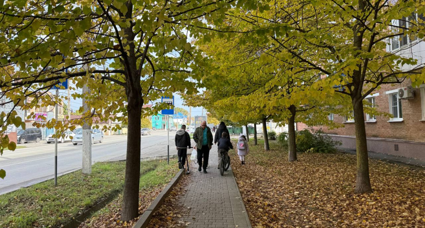 Погода 6 ноября предскажет, какой на самом деле будет зима-2026: вот на что обращаю внимание, сбывается на все 100%