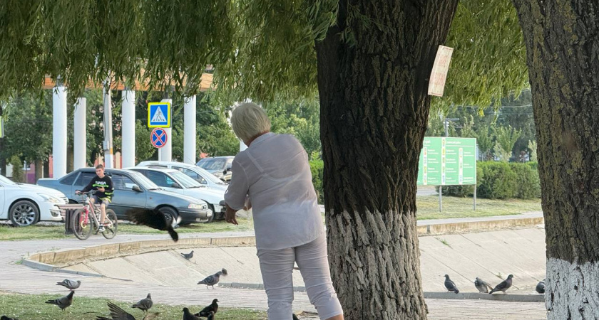 Какие женские имена из СССР снова в моде с 2025 года: опубликован список