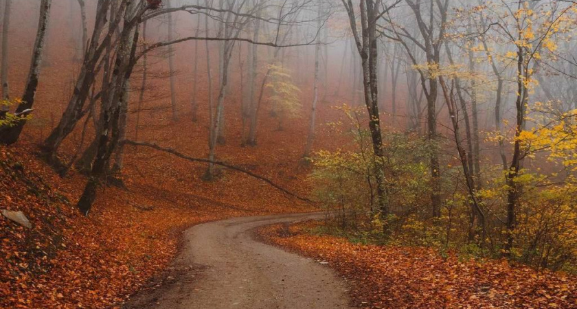 Маркотхский хребет в облаках: фотограф показал мистическую красоту туманного Новороссийска