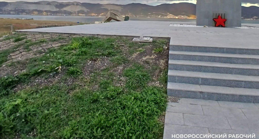 Разнотравье на Малой Земле в Новороссийске будет восстанавливаться несколько лет после неудачного эксперимента в рулонным газоном