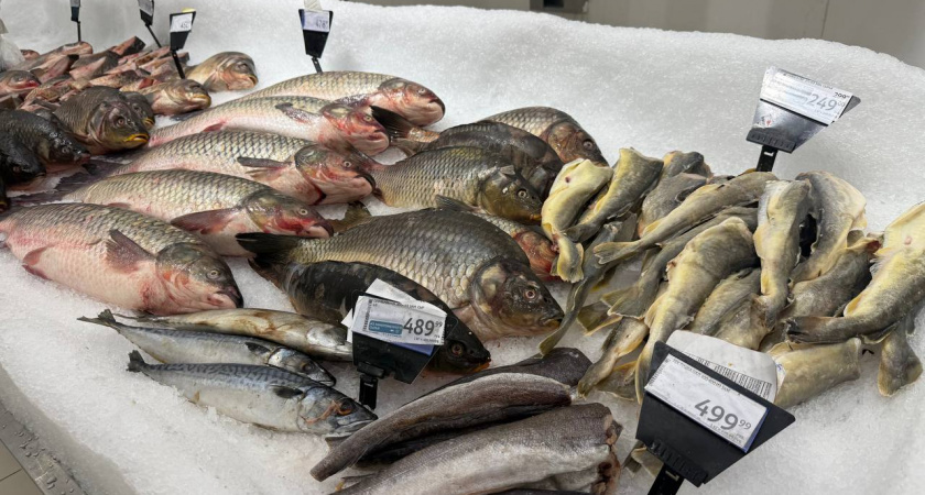 Какую рыбу можно покупать спокойно, а какую лучше всего избегать: запомните 4 признака безопасного выбора