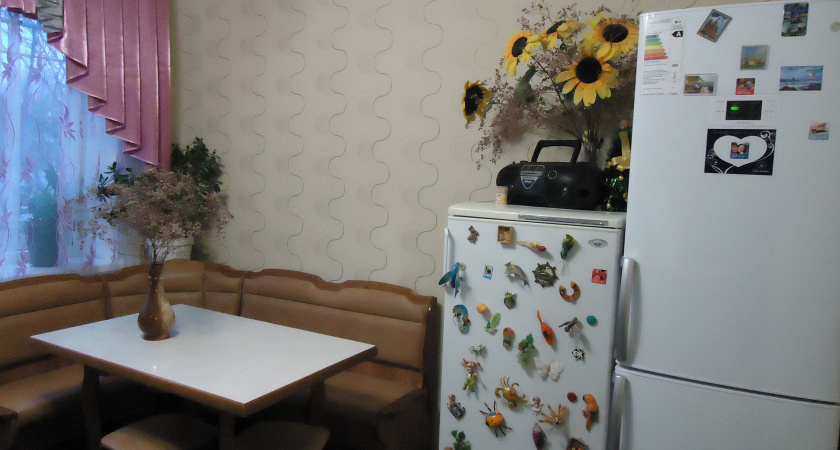 Холодильник больше никогда не размораживаю: опытный мастер проговорился о более простом способе