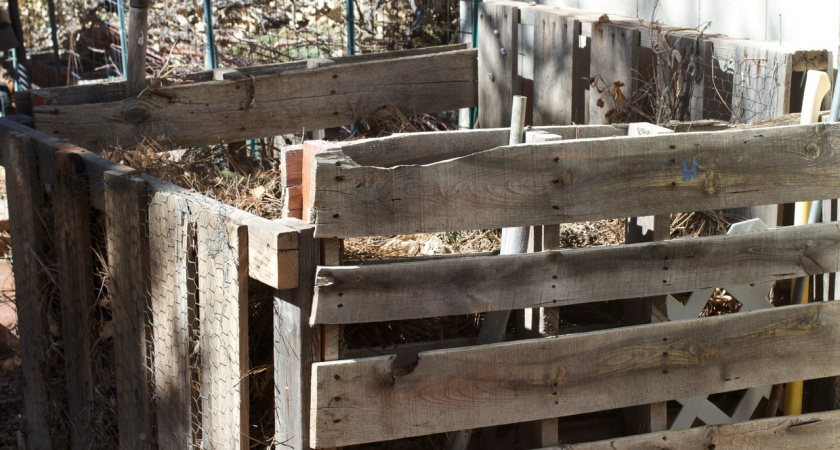 Жалею, что раньше об этом не знал: выливаю ведро в компост перед заморозками - уже весной куча «сгорает» мгновенно