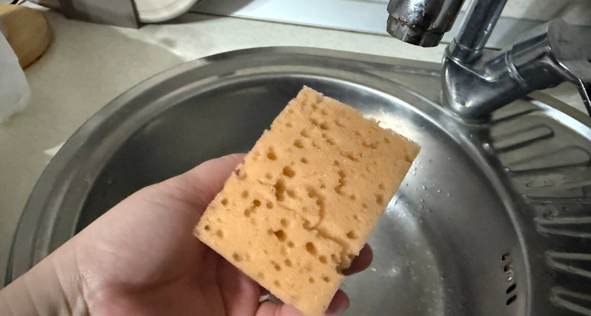 Только в 40 лет узнала, зачем на самом деле нужны губки разного цвета: вот как правильно их использовать