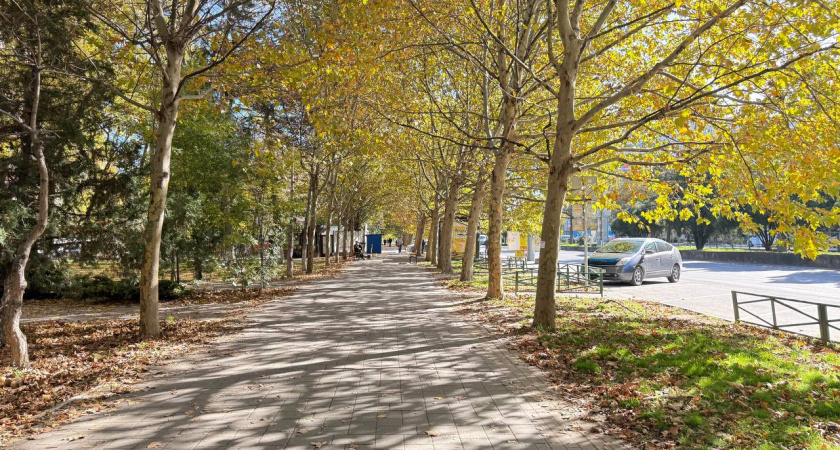 «Осень не спешит уходить»: синоптик Вильфанд рассказал о тёплом воскресенье на Кубани