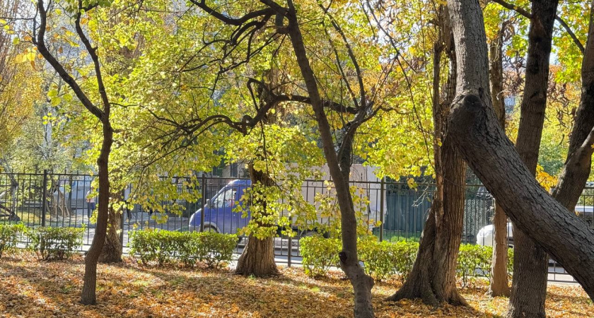 Тепло не сдается: в Краснодарском крае задержится «бархатный» ноябрь с дождями и туманами