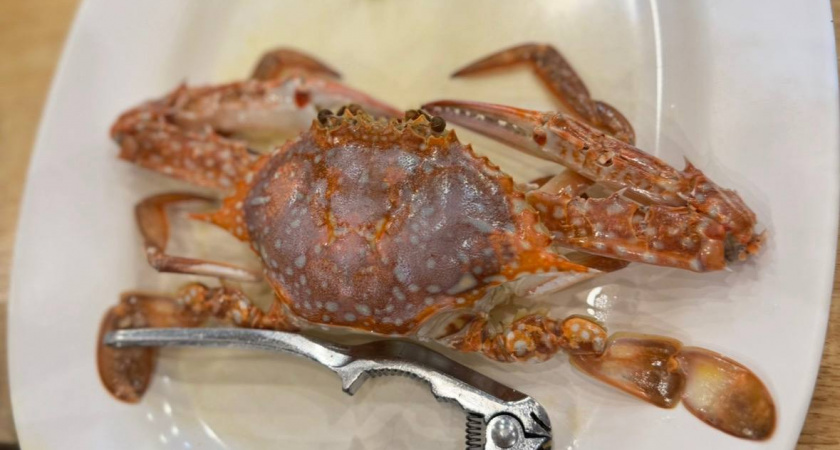 Что попробовать в Новороссийске: гастрономические находки у моря