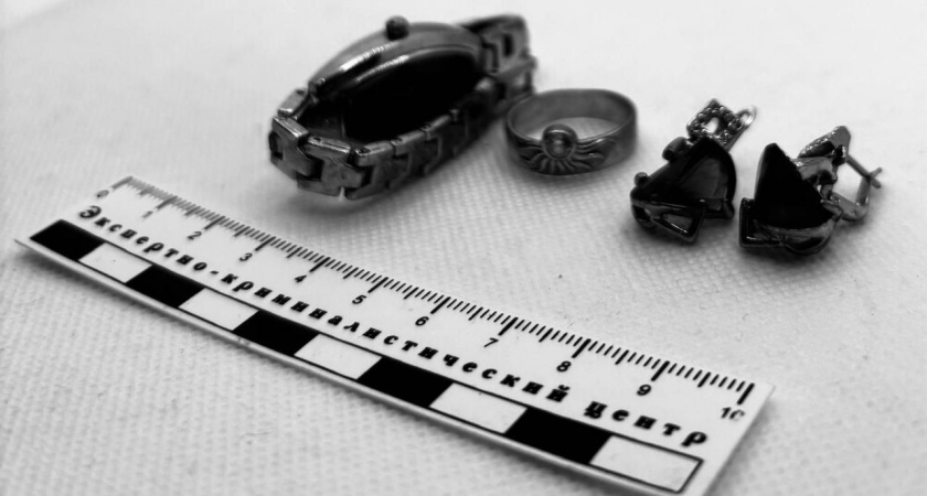 В Новороссийске задержали троих квартирантов, обокравших соседа, забывшего ключи в замке входной двери