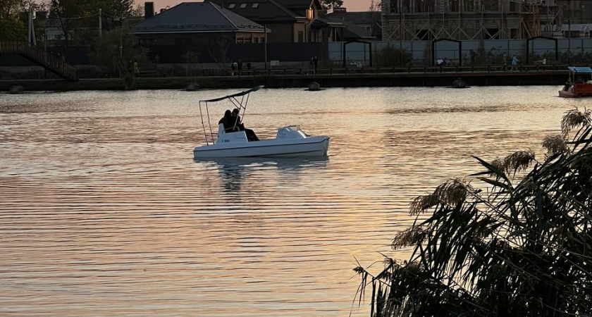 Умный и еще умнее: группа крови, обладатели которой отличаются высоким интеллектом