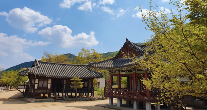 Курорт за колючей проволокой: россияне толпами едут в Северную Корею  