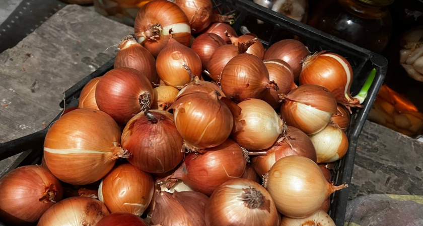 Советские фишки хранения овощей: как в квартире без балкона хранился урожай до следующего сезона