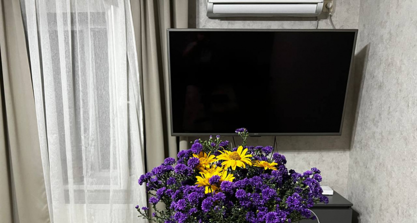 Такая ошибка перед сном убивает ваш мозг: эта вечерняя привычка указывает на низкий интеллект