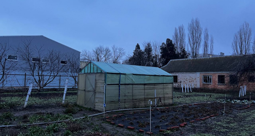Это дачникам нельзя делать в огороде в ноябре ни в коем случае - погубите почву