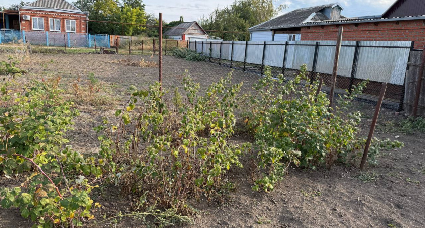Что дачникам категорически запрещено делать в огороде в ноябре - погубите почву