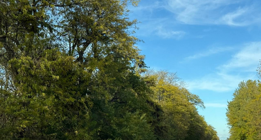 Мороз, туман и штормовой ветер: какой будет погода на Кубани в субботу