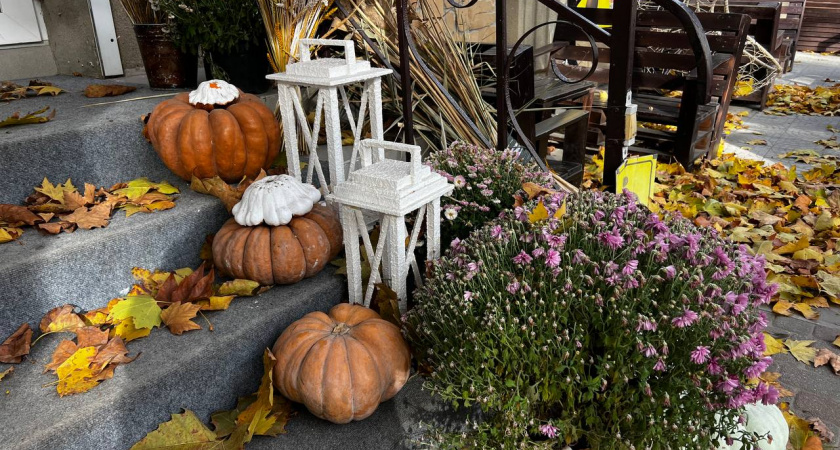 Осень вступает в права: на Кубань надвигаются туманы и похолодание