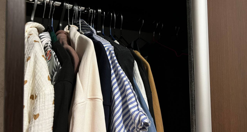 Праздничный наряд на Новый год-2026 по знаку Зодиака — какие цвета одобрит Красная Лошадь