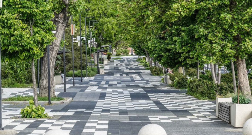 Новороссийцы хотят видеть в парке Фрунзе природный пруд, скейт-парк, веревочный городок или розарий