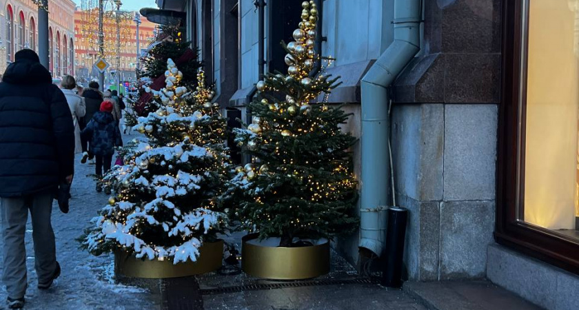 Семь простых советов, как точно привлечь удачу в Новый год Лошади 2026   