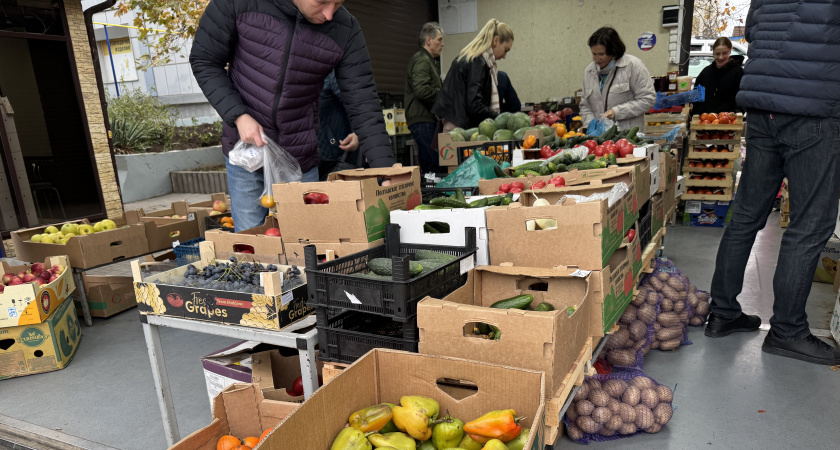Самозанятые доработались: Минтруд станет выявлять врагов трудовых отношений по-новому