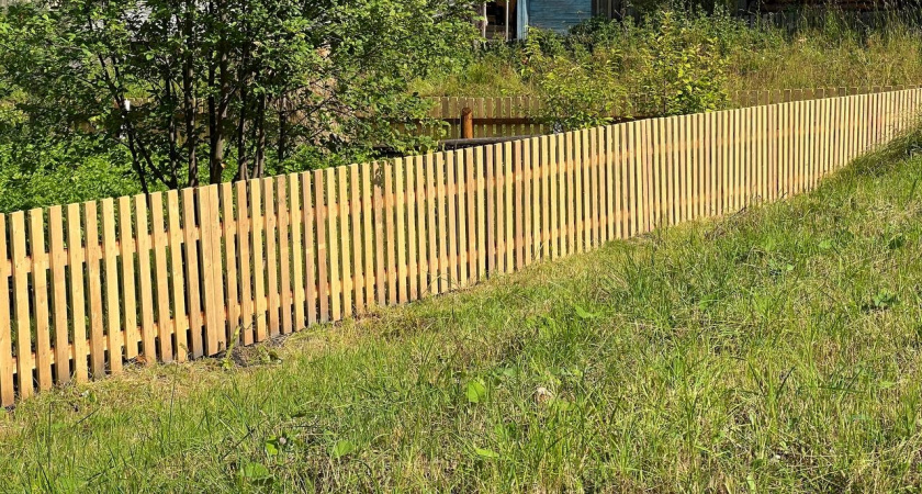 20 многодетных семей в Новороссийске получат земельные участки: на очереди остается более 3800 семей