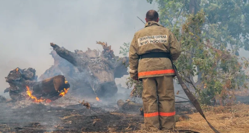 Лесной массив загорелся в Восточном районе Новороссийска