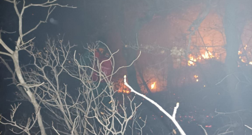 Сегодня ночью потушили два лесных пожара неподалеку от поселка Южная Озереевка под Новороссийском   