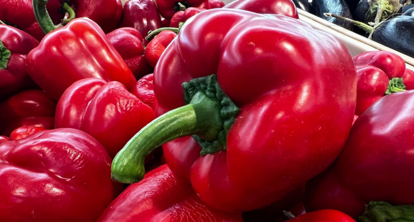 Перцы-гиганты до 800 г: самые огромные и урожайные - 3 самых удачных сорта  