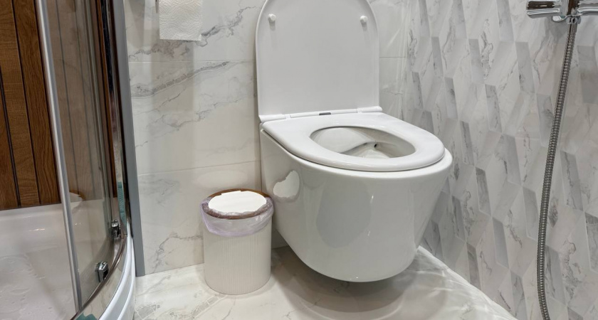 Умные хозяйки кладут кирпич в унитаз: Научила советская бабушка - в чём фишка