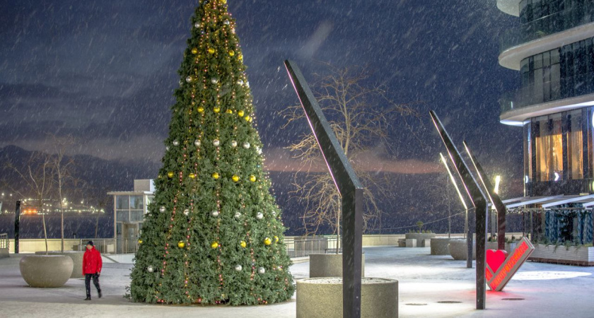 Новороссийск вошел в число самых недорогих новогодних направлений Кубани в 2025 году